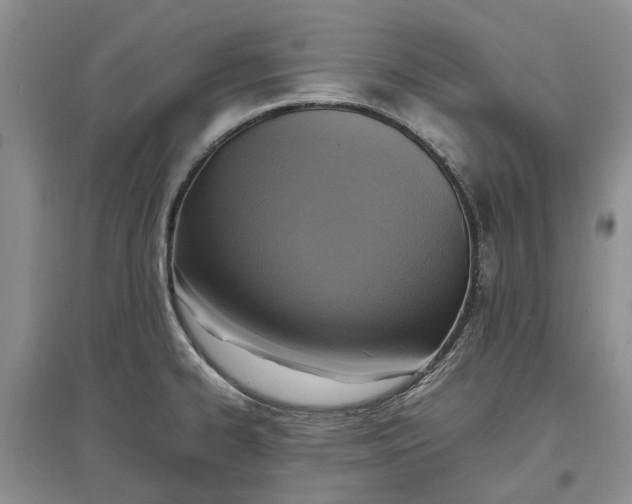 X0000097661334200803142123