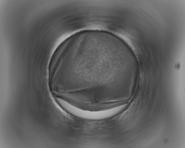X0000097661335200803142123