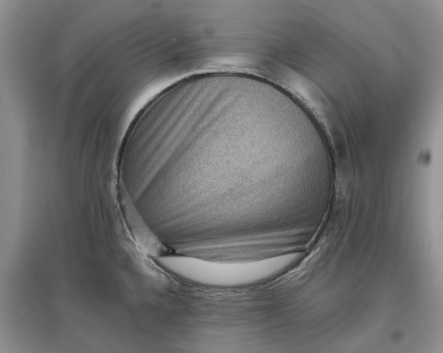 X0000097661336200803142123