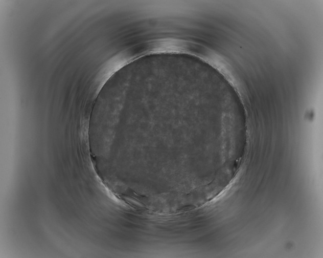 X0000097661337200803142123
