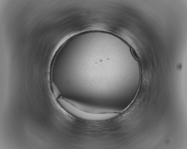 X0000097661339200803142123