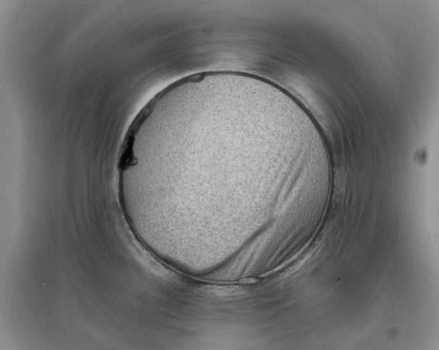 X0000097661340200803142123