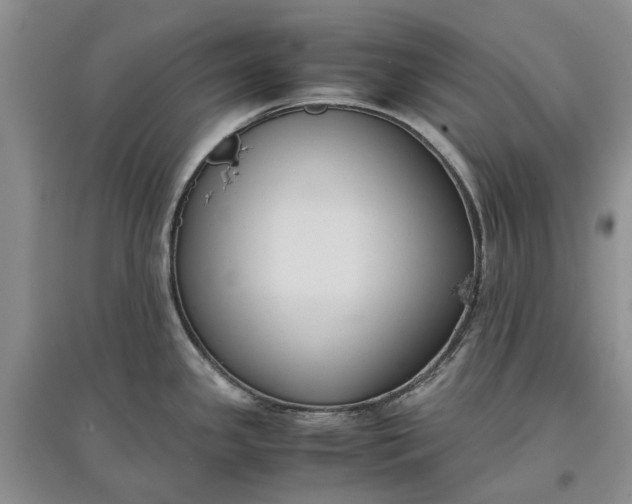 X0000097661341200803142123