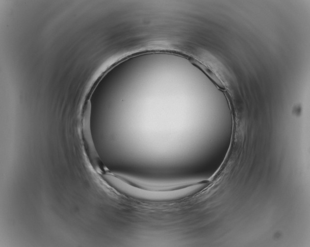 X0000097661342200803142123