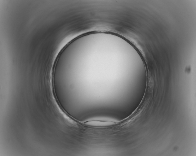 X0000097661343200803142123