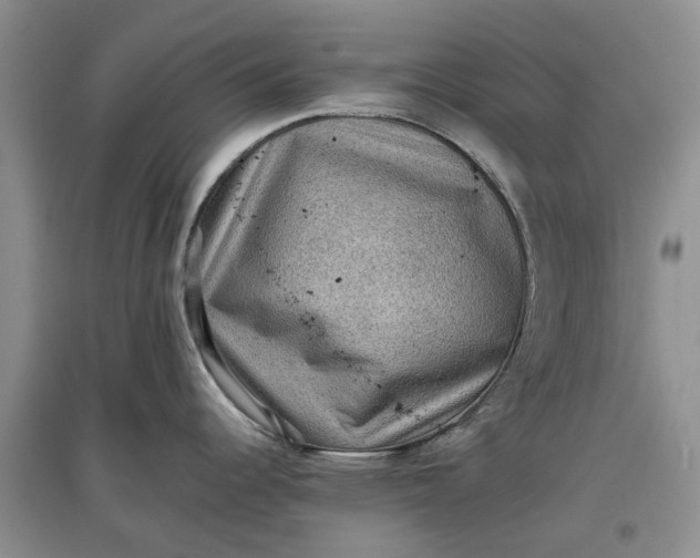 X0000097661344200803142123