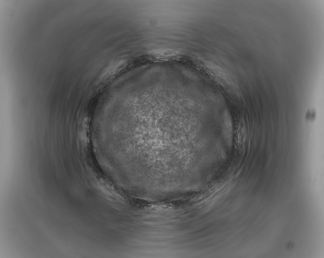 X0000097661346200803142123