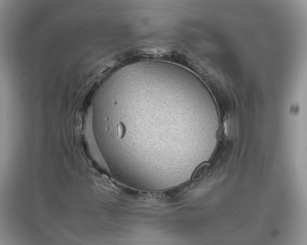 X0000097661347200803142123