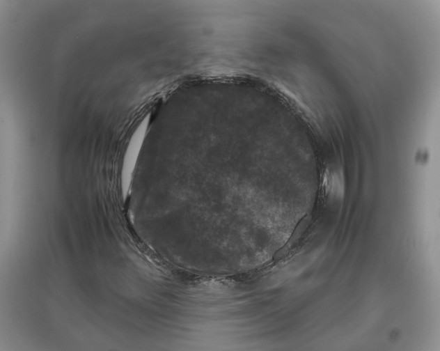 X0000097661348200803142123