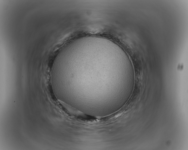 X0000097661349200803142123