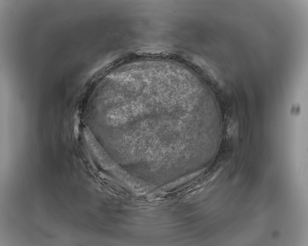 X0000097661350200803142123