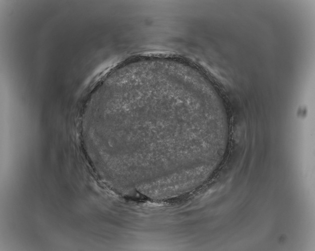 X0000097661351200803142123