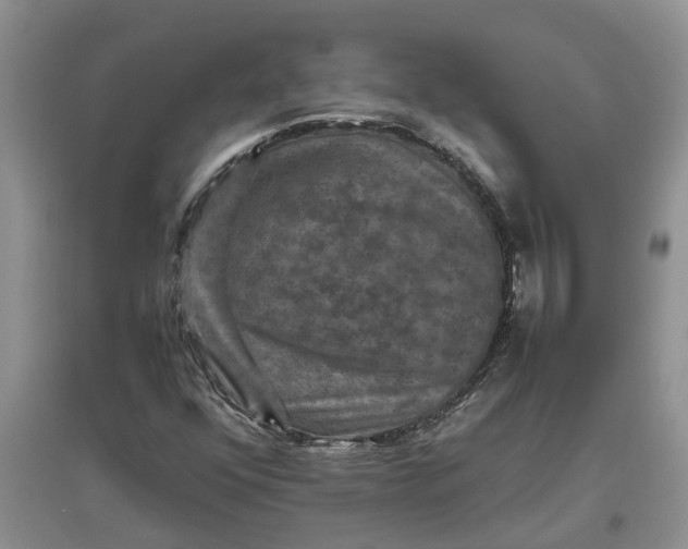 X0000097661352200803142123