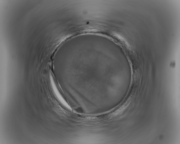 X0000097661353200803142123