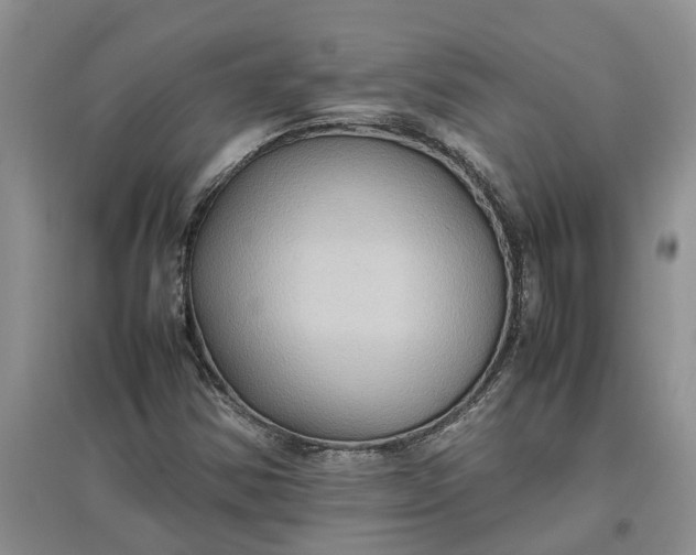 X0000097661354200803142123
