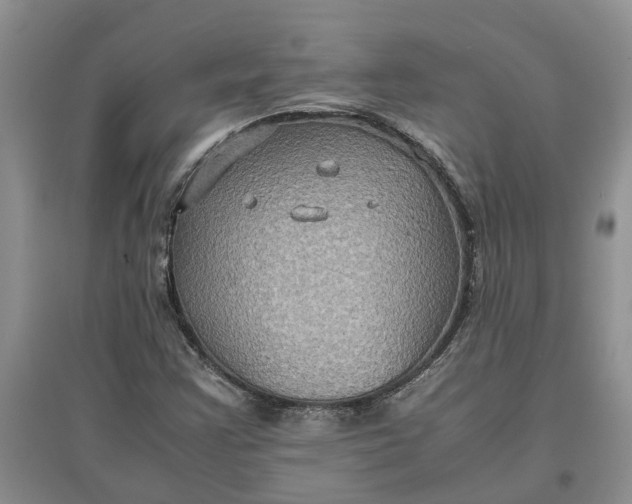 X0000097661355200803142123