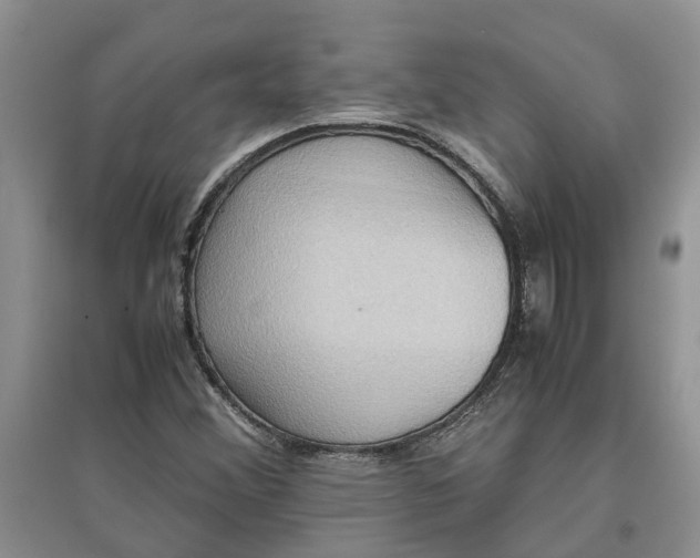 X0000097661356200803142123