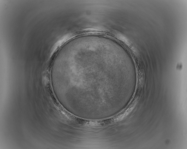 X0000097661357200803142123