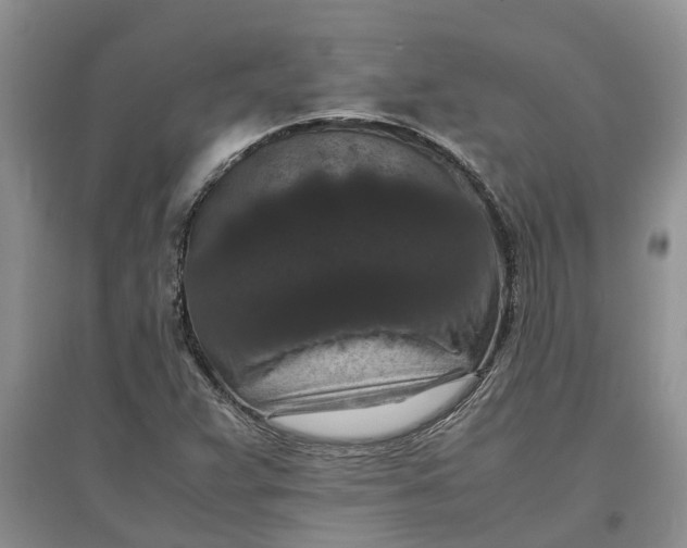 X0000097661359200803142122