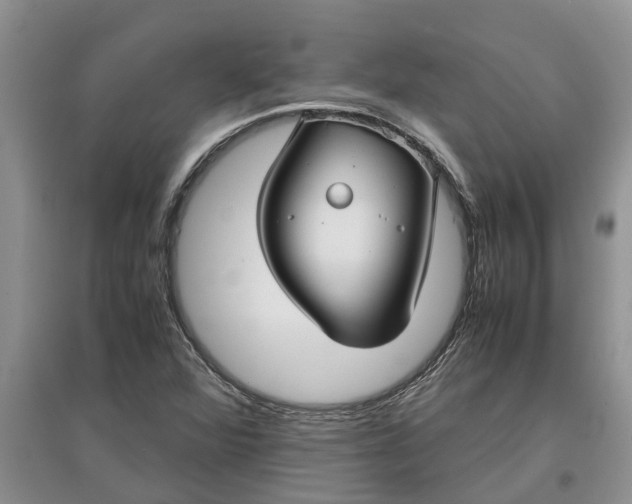 X0000097661360200803142122