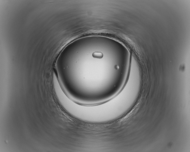 X0000097661361200803142122