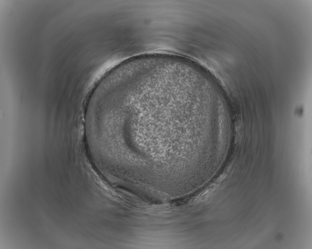 X0000097661363200803142122