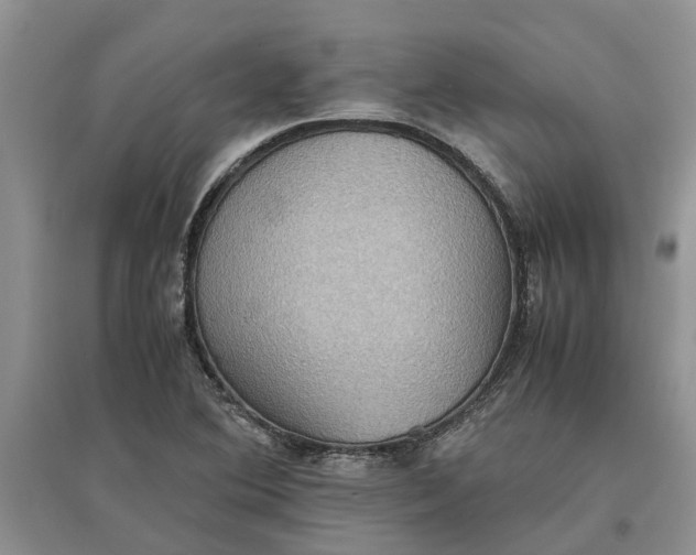 X0000097661364200803142122