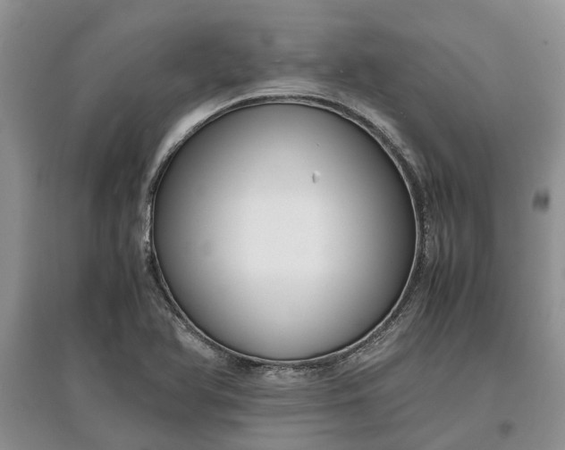 X0000097661366200803142122
