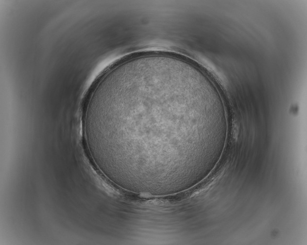 X0000097661368200803142122