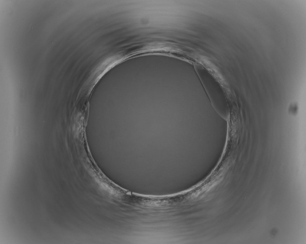 X0000097661369200803142122