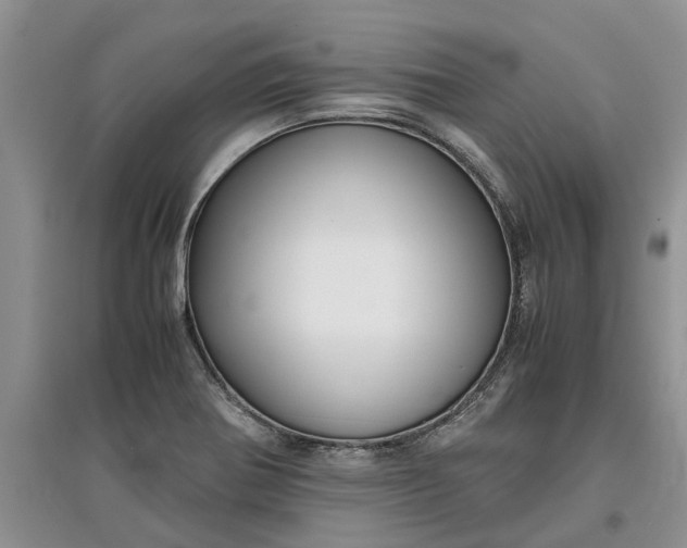 X0000097661370200803142122