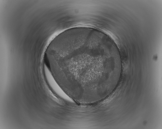 X0000097661371200803142122