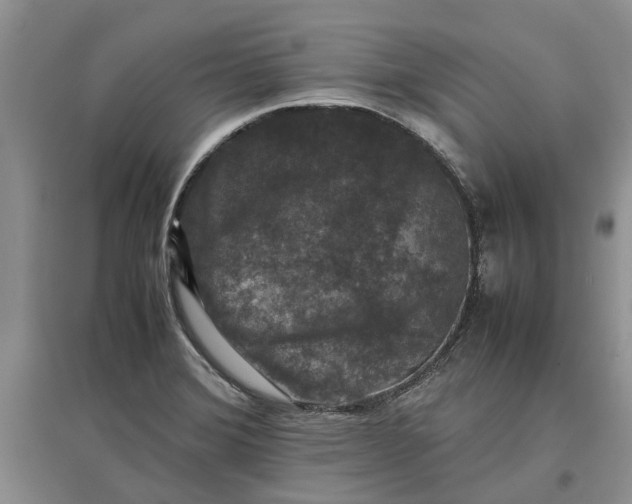 X0000097661372200803142122