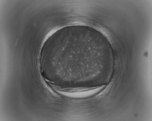 X0000097661373200803142122