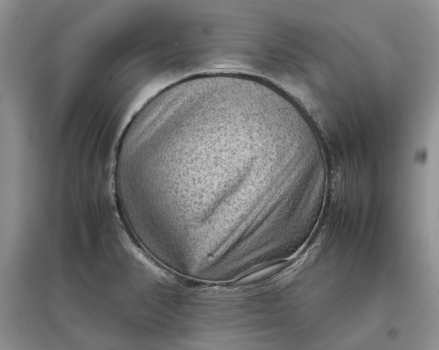 X0000097661374200803142122
