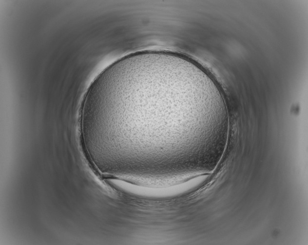 X0000097661375200803142122