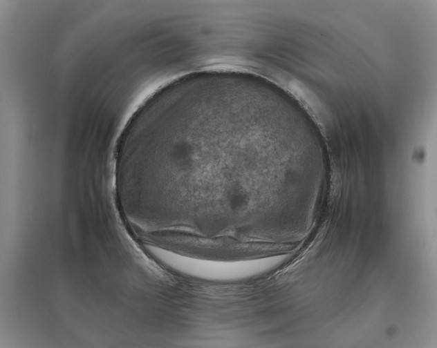 X0000097661376200803142122