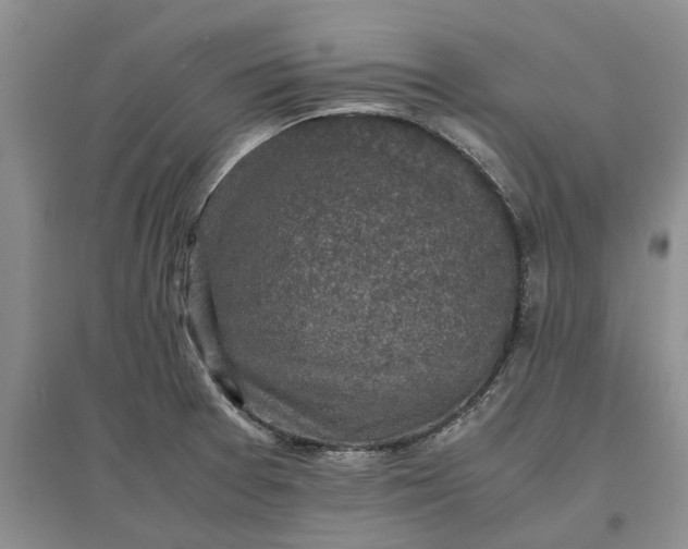 X0000097661377200803142122