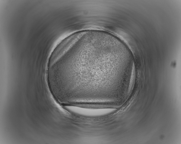 X0000097661379200803142122