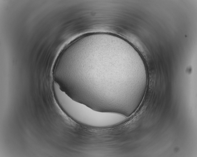 X0000097661380200803142122