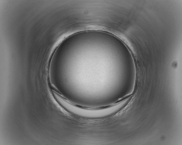 X0000097661381200803142122