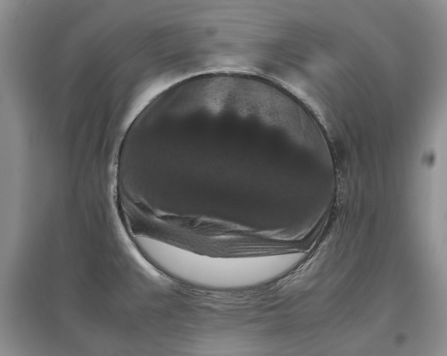 X0000097661383200803142122