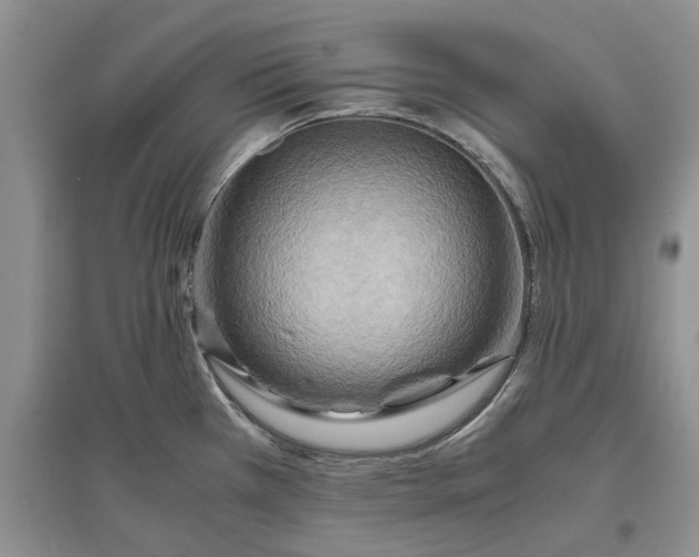 X0000097661385200803142122