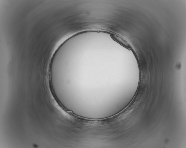 X0000097661387200803142122