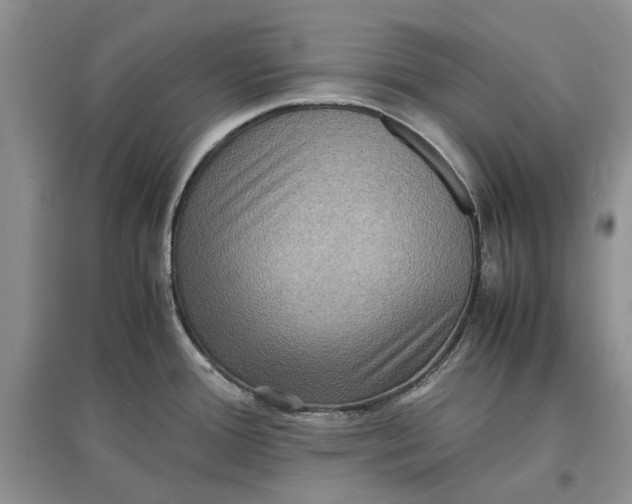 X0000097661388200803142122
