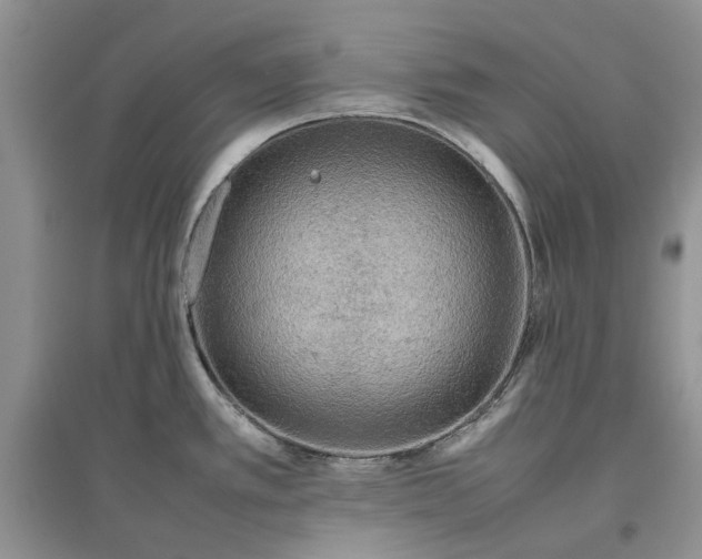 X0000097661389200803142122