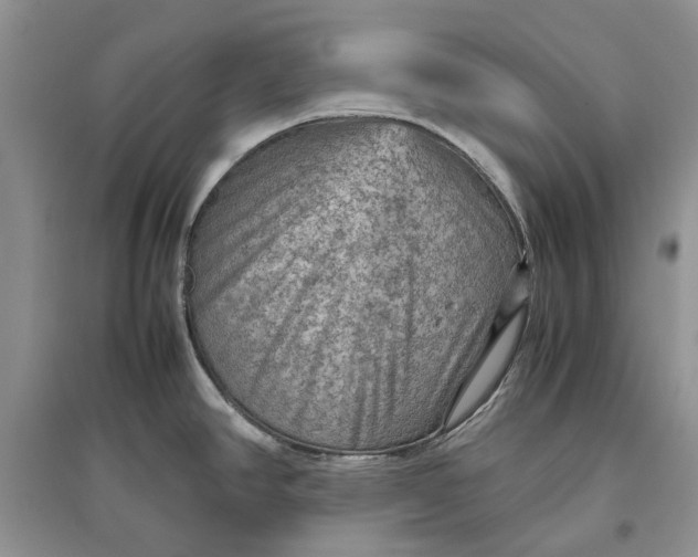 X0000097661390200803142122