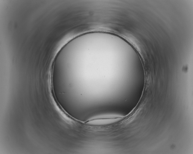 X0000097661391200803142122