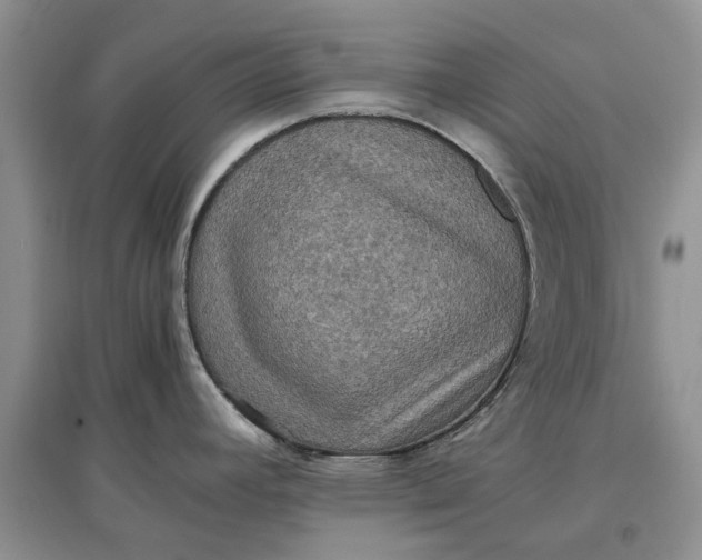X0000097661392200803142122
