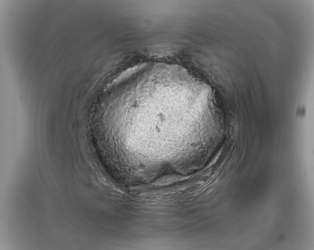 X0000097661393200803142121